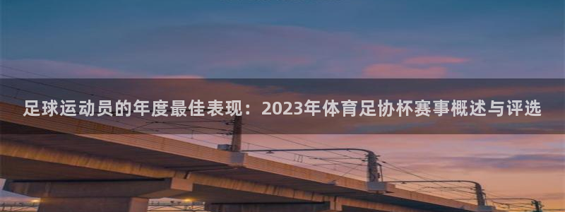 足球运动员的年度最佳表现：2023年体育足协杯赛事概述与评选