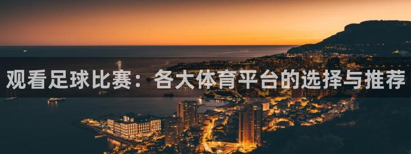 观看足球比赛：各大体育平台的选择与推荐